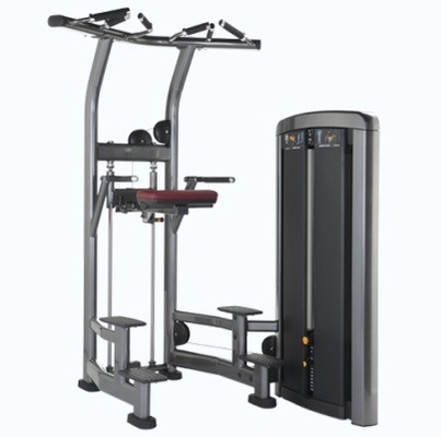 Piqueur d'acier chargée à la barre de tirage Triceps Deltoids entraînement assisté Machine de trempage de menton pour l'acier