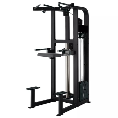 Logo personnalisé Pin chargé Fitness sélectionné Assistant Dip Chin Machine pour le culturisme 262KG