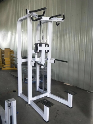 Logo personnalisé Pin chargé Fitness sélectionné Assistant Dip Chin Machine pour le culturisme 262KG