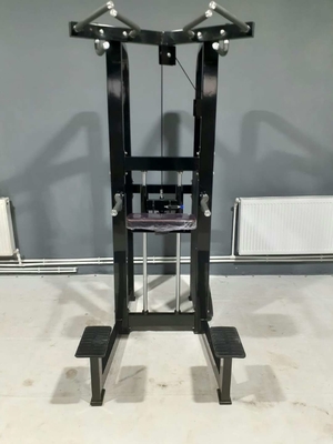 Logo personnalisé Pin chargé Fitness sélectionné Assistant Dip Chin Machine pour le culturisme 262KG