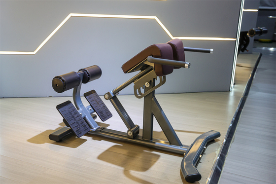 Équipement de remise en forme commercial Extension du dos Chaise romaine avec cadre métallique 1360*790*880