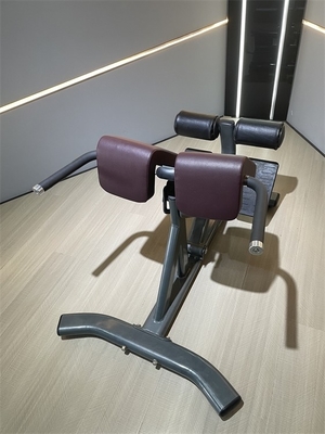 Équipement de remise en forme commercial Extension du dos Chaise romaine avec cadre métallique 1360*790*880