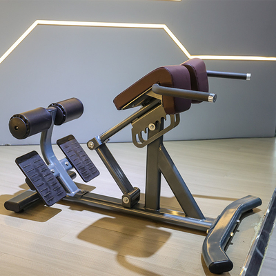 Équipement de remise en forme commercial Extension du dos Chaise romaine avec cadre métallique 1360*790*880