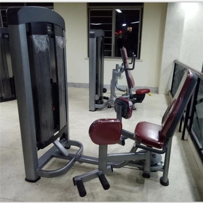 Befreeman Gym Leg Hip Adductor Équipement d'exercice Logo personnalisé pour les chargeurs moyens