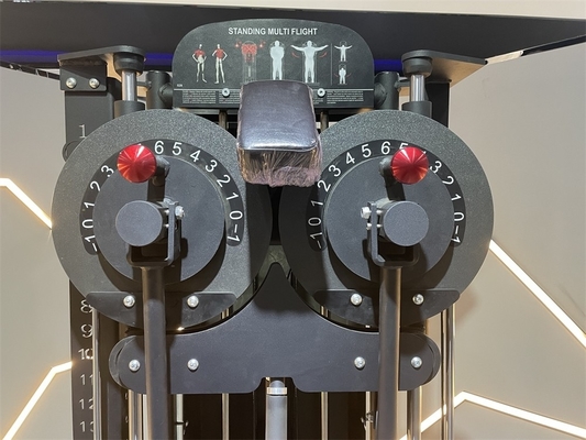 Appareil de levage latéral debout pour entraînement en force multi-fonctionnel