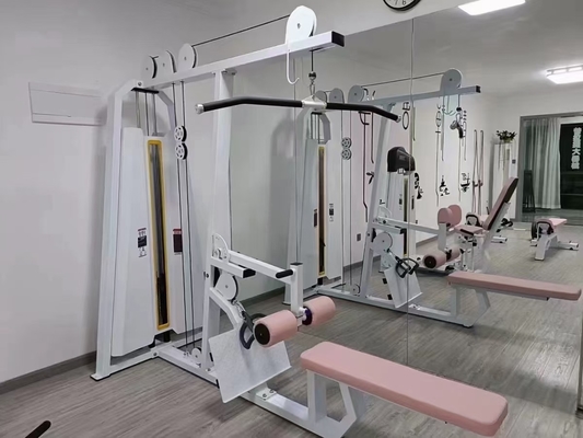 Équipement de remise en forme de gymnase commercial assis en rangée basse avec logo personnalisé disponible