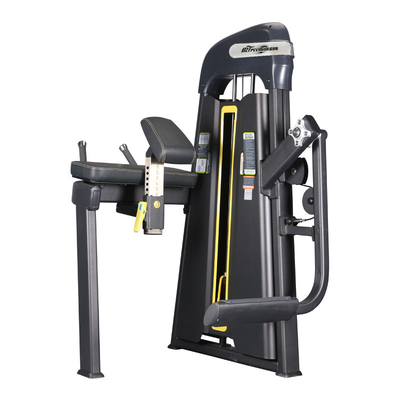 Entraînement à la force Befreeman chargeur moyen isolant de glute tube carré machine chargée de broches