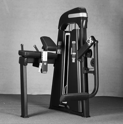 Entraînement à la force Befreeman chargeur moyen isolant de glute tube carré machine chargée de broches