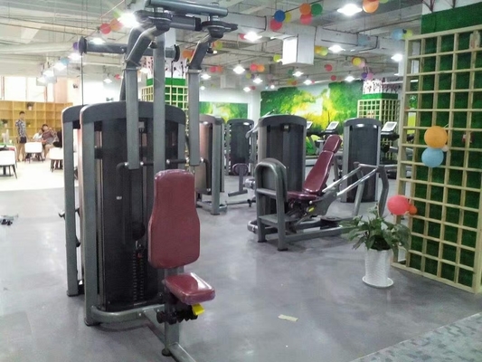 Équipement de charge de pin de gymnaste Delt Pec machine à mouche personnalisée pour l'entraînement en force