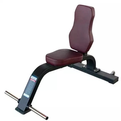 Bench polyvalent pour équipement de gym commercial personnalisé de Befreeman Fitness