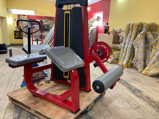 Découvrez la puissance de la machine de remise en forme des jambes à l' intérieur de Befreeman Gym.