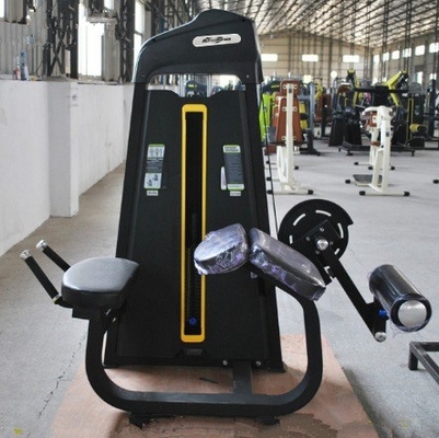 Découvrez la puissance de la machine de remise en forme des jambes à l' intérieur de Befreeman Gym.
