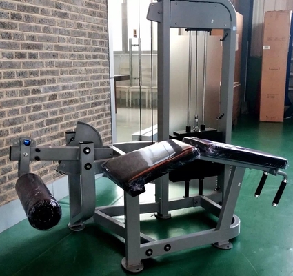 Conception de l'équipement d'extension de la jambe pour le gymnase