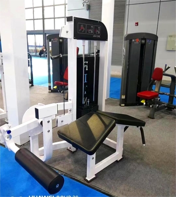 Conception de l'équipement d'extension de la jambe pour le gymnase