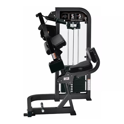 Gymnase d'extension de triceps sur mesure pour les résultats par Befreeman Strength