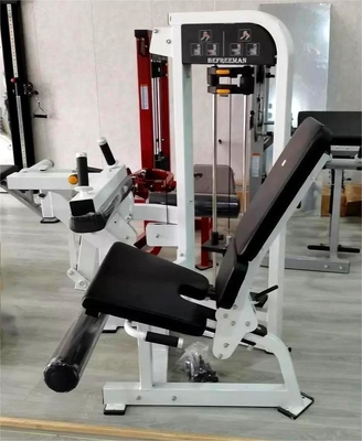 Construction de la force essentielle Befreeman Assise machine de remontage des jambes type chargeur moyen