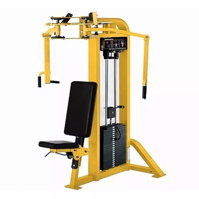 Couleur de cadre personnalisable machine à mouche à deltoïde arrière pour équipement d'entraînement à la force à domicile