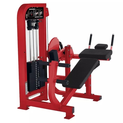 Machine de remise en forme abdominale personnalisée pour le centre de gym chez Befreeman Gym Equipment