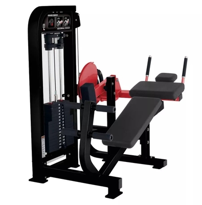 Machine de remise en forme abdominale personnalisée pour le centre de gym chez Befreeman Gym Equipment