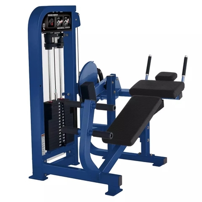 Machine de remise en forme abdominale personnalisée pour le centre de gym chez Befreeman Gym Equipment
