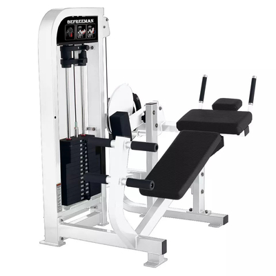 Machine de remise en forme abdominale personnalisée pour le centre de gym chez Befreeman Gym Equipment