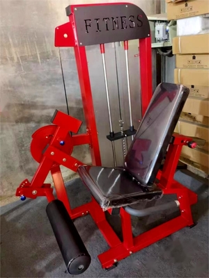 Équipement de remise en forme en intérieur Extension réglable du dos avec chargeur moyen 1170*910*1630MM