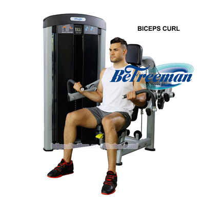 Deux couches de revêtement en poudre électrostatique Biceps machine à tricots pour des séances d'entraînement efficaces