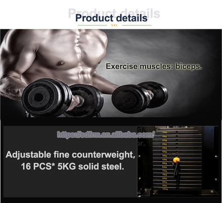 Deux couches de revêtement en poudre électrostatique Biceps machine à tricots pour des séances d'entraînement efficaces