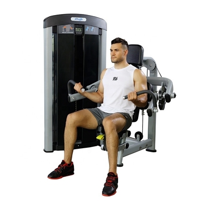 Machine de remise en forme de biceps en acier commercial pour le gymnase