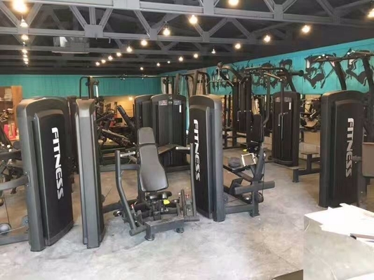 Machine de remise en forme de biceps en acier commercial pour le gymnase