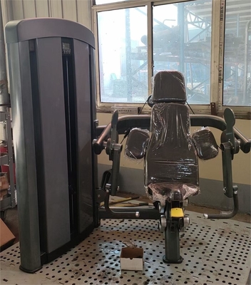 Machine de remise en forme de biceps en acier commercial pour le gymnase