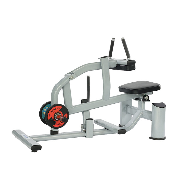 Maximum de poids de l'utilisateur 300 kg Machine de levage de veau assise pour l'entraînement de la force des jambes chargées de plaques
