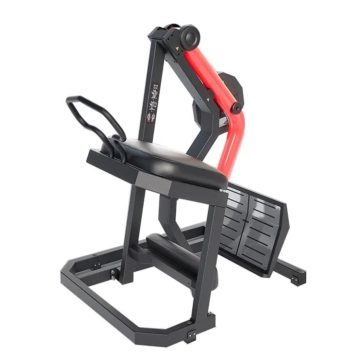 Machine à ramer chargée de plaques d'acier pour l'entraînement de la force et l'entraînement des muscles du dos au gymnase
