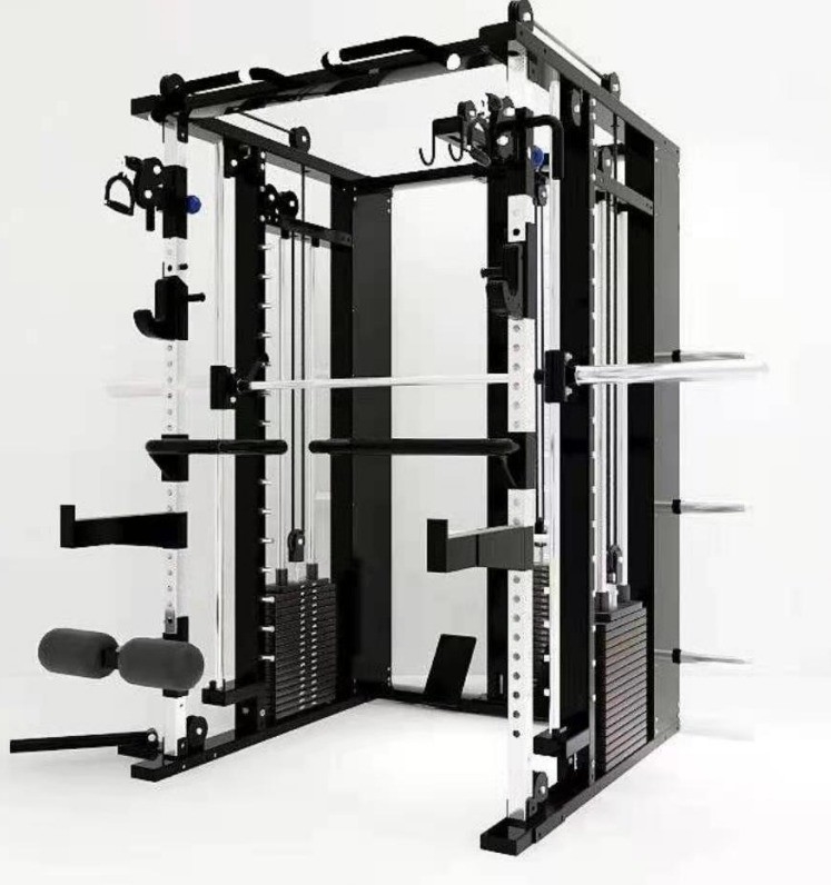 Tubes d'acier Q235 entraîneur fonctionnel machine Smith tout-en-un pour la forme physique complète