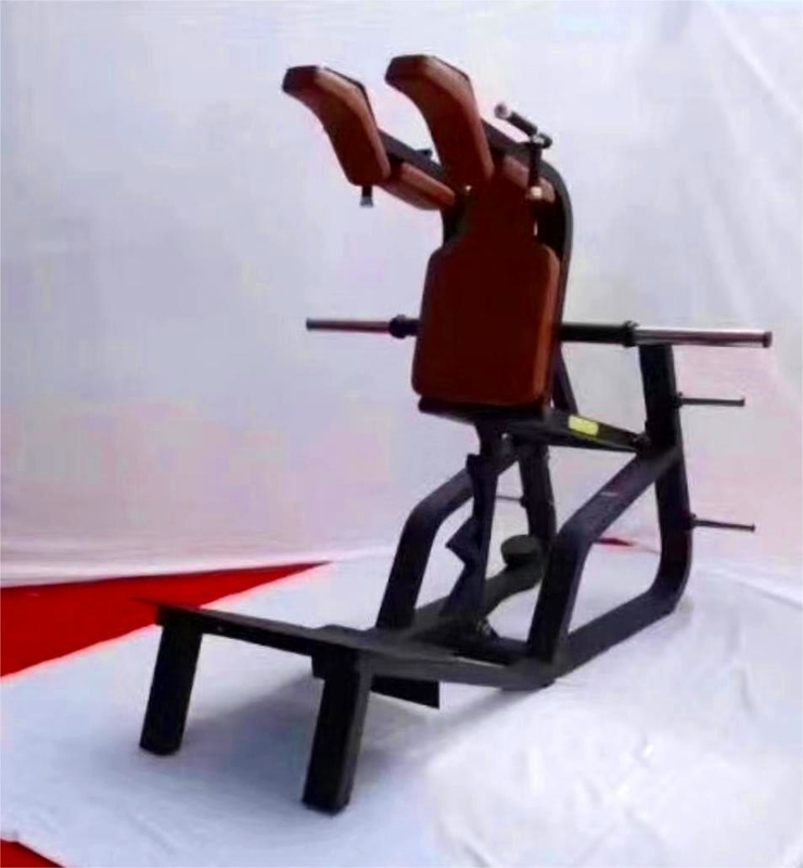 Machines chargées de plaques commerciales épaisseur de tube 3,0 mm Squat pour équipement de fitness