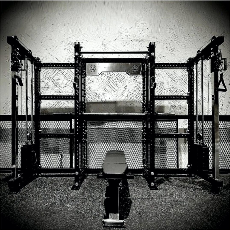 Machine de gymnastique en acier Q235 Exercice de dos avec machine Smith universelle et support électrique