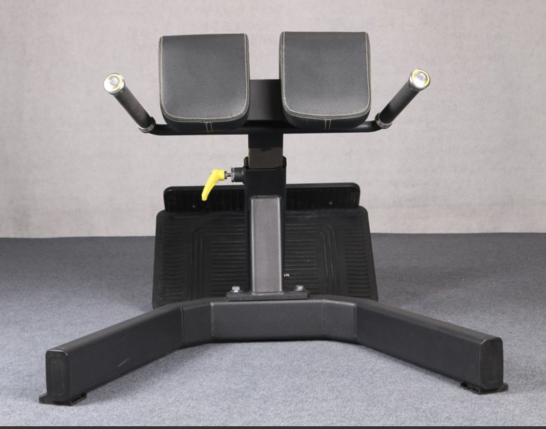 Salle de gym Fitness 45 degrés machine d'extension du dos Chaise romaine Salle de gym Banquette unisexe Sexe unisexe