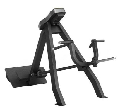 Equipement de gymnastique commercial T Bar Row Plaque chargée