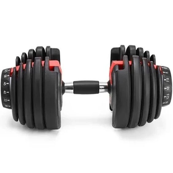 Gymnase commercial Entraînement avec des poids libres Dumbbells réglables en option Couleur du cadre sélectionnable