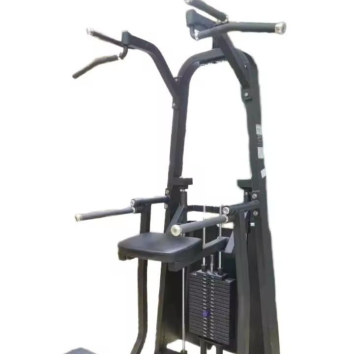 Appareil de gymnastique personnalisable à pin-loaded Dip/Chin Assisted Idéal pour l'entraînement des épaules et des jambes