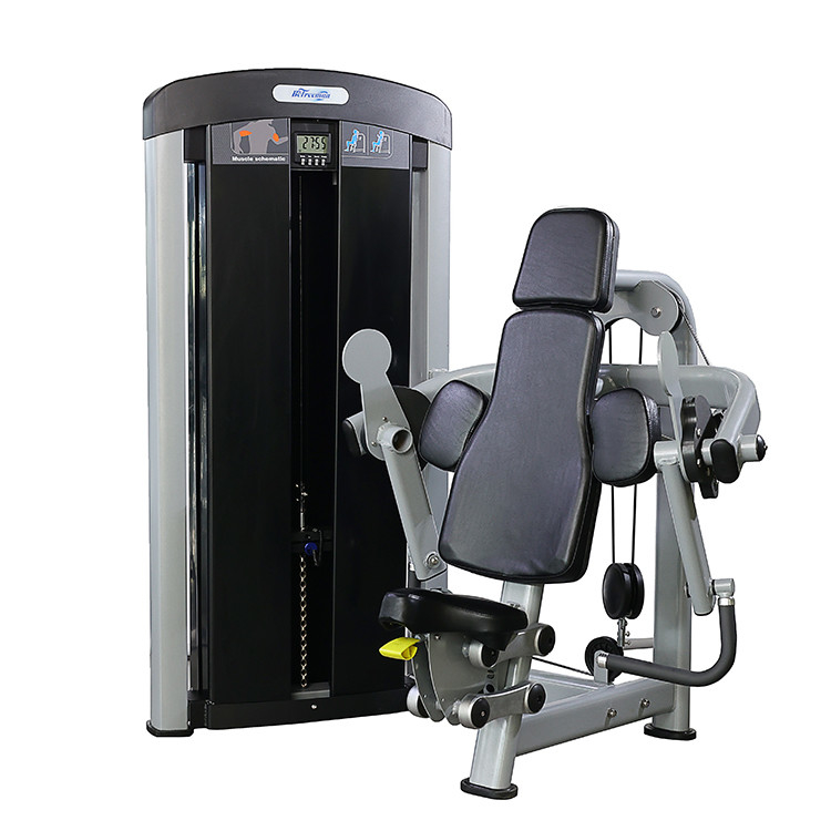 Machine de remise en forme de biceps en acier commercial pour le gymnase